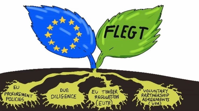 We are FLEGT. What is FLEGT? 